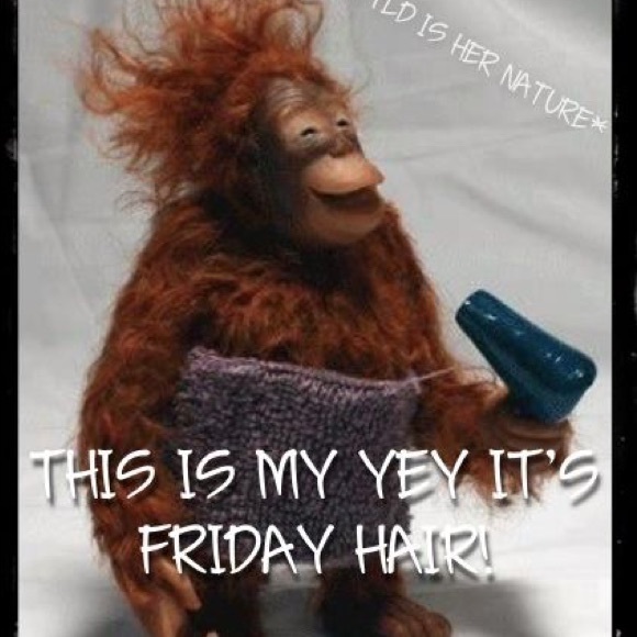 Meet your Posher, Ms Jackie Lee - Picture 5 of 6